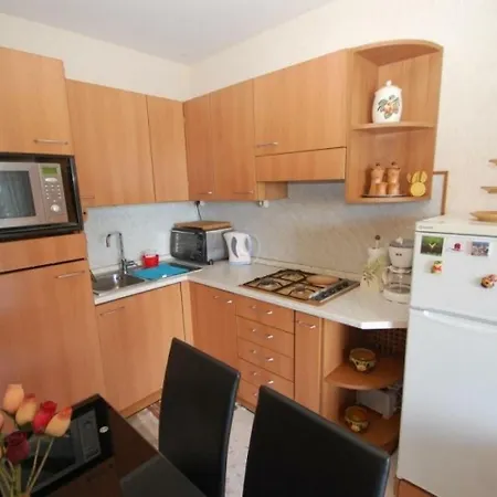 Spacieux 2p Avec Terrasse Parking 1 Appartamento
